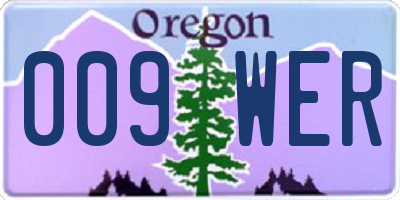 OR license plate 009WER