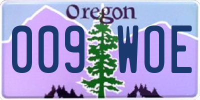 OR license plate 009WOE