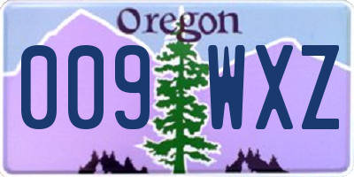 OR license plate 009WXZ