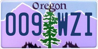 OR license plate 009WZI