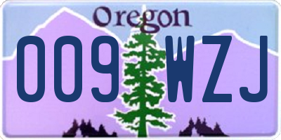 OR license plate 009WZJ
