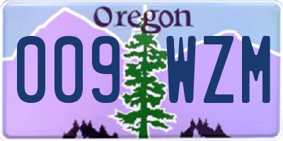 OR license plate 009WZM