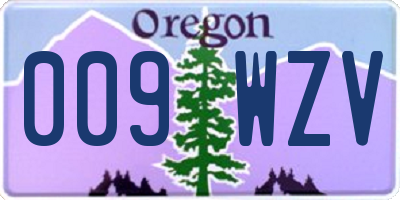 OR license plate 009WZV