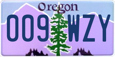 OR license plate 009WZY