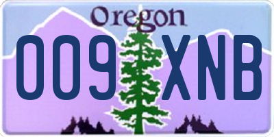 OR license plate 009XNB