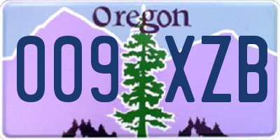 OR license plate 009XZB