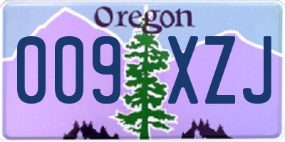 OR license plate 009XZJ