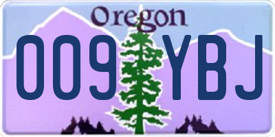 OR license plate 009YBJ