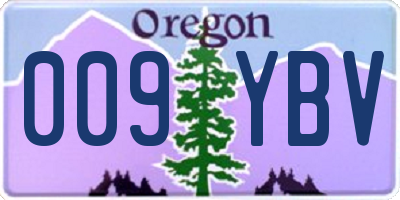 OR license plate 009YBV