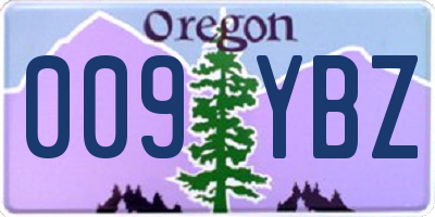 OR license plate 009YBZ