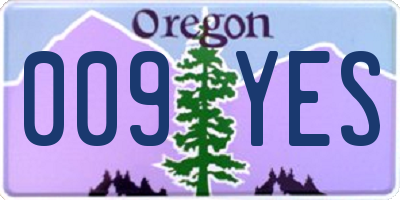 OR license plate 009YES