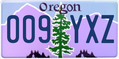 OR license plate 009YXZ