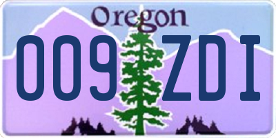 OR license plate 009ZDI