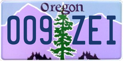 OR license plate 009ZEI