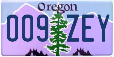 OR license plate 009ZEY