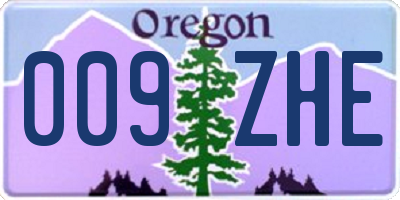 OR license plate 009ZHE
