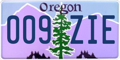 OR license plate 009ZIE