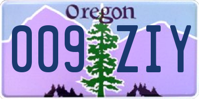 OR license plate 009ZIY