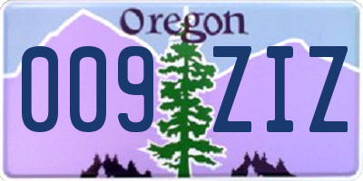 OR license plate 009ZIZ
