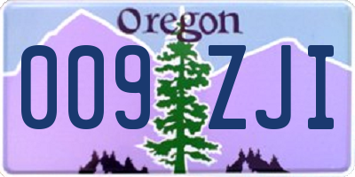 OR license plate 009ZJI