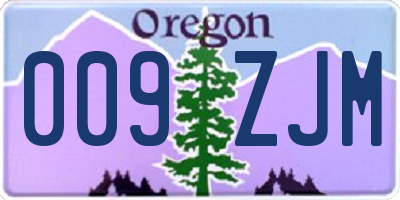 OR license plate 009ZJM