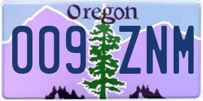 OR license plate 009ZNM