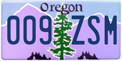 OR license plate 009ZSM