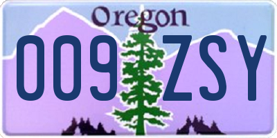 OR license plate 009ZSY