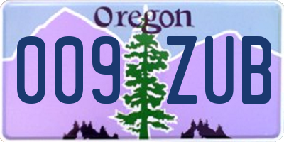 OR license plate 009ZUB
