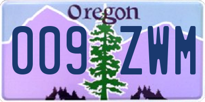 OR license plate 009ZWM