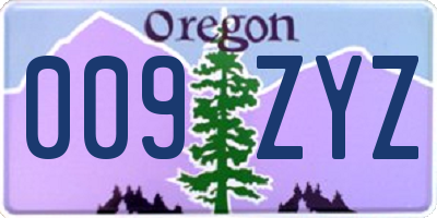 OR license plate 009ZYZ