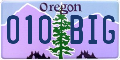 OR license plate 010BIG