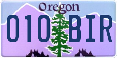 OR license plate 010BIR