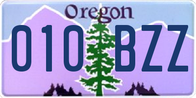 OR license plate 010BZZ