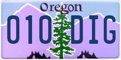 OR license plate 010DIG