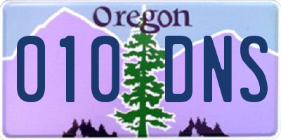 OR license plate 010DNS