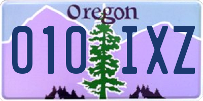 OR license plate 010IXZ
