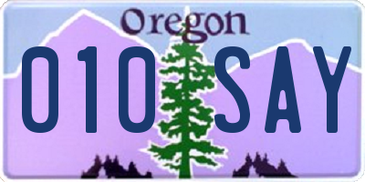 OR license plate 010SAY