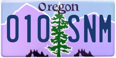 OR license plate 010SNM