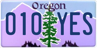 OR license plate 010YES