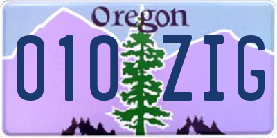 OR license plate 010ZIG