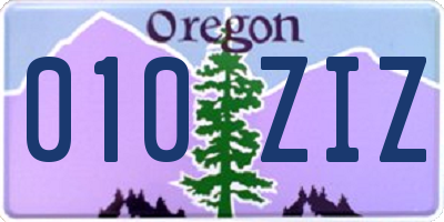 OR license plate 010ZIZ