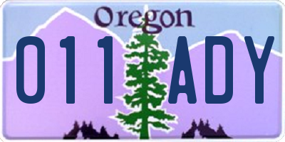 OR license plate 011ADY