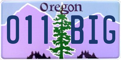 OR license plate 011BIG