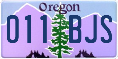 OR license plate 011BJS