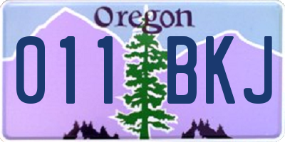 OR license plate 011BKJ