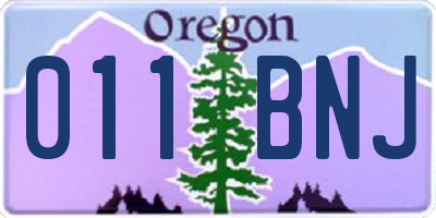 OR license plate 011BNJ