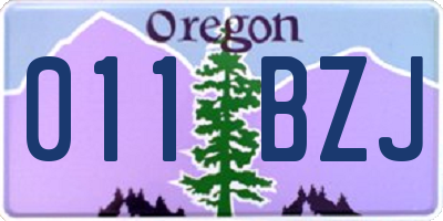 OR license plate 011BZJ