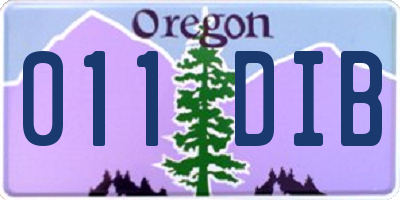 OR license plate 011DIB