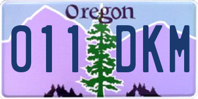 OR license plate 011DKM